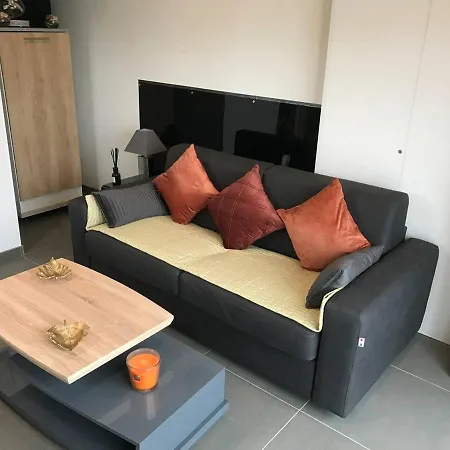 Detente A 10mn De La Gare Et Aeroport St Exupery Apartment Colombier-Saugnieu